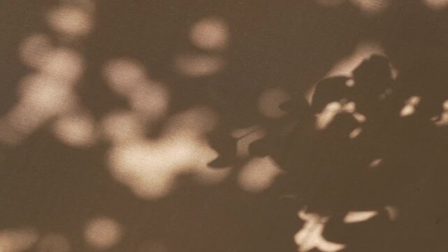Vibrant tree leaf shadow waving gently on textured canvas background