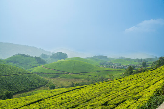 A breathtaking panoramic view of Munnar's unique topography, characterized by an endlessly rolling terrain of deep green valleys.