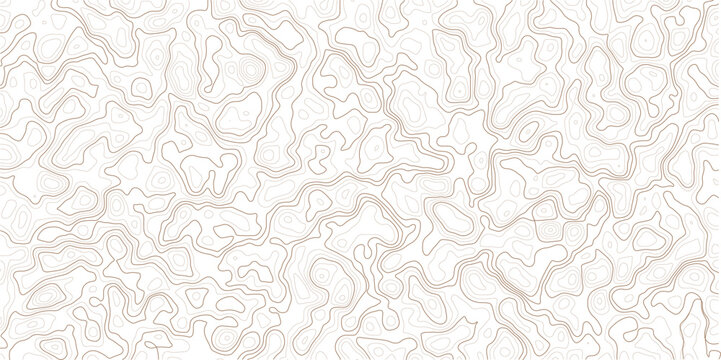 Topographic lines pattern on white background for design and texture