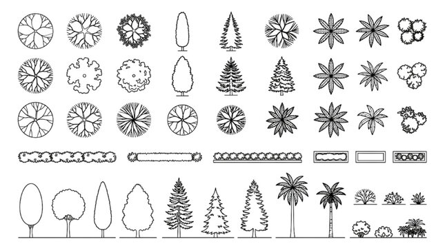 Architectural Tree and Shrub CAD Block Collection with Plan View Canopies, Elevation Conifers, Palms and Hedge Symbols for Landscape Drawings
