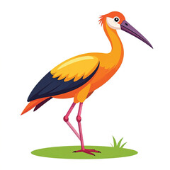 Fototapeta premium Vibrant orange bird with long neck.