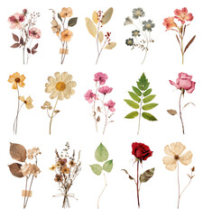 Fototapeta na wymiar PNG Vintage dried floral arrangement collection, transparent background