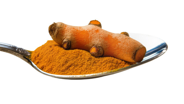 Isolated turmeric root and ground powder spice on an antique metal spoon ingredient