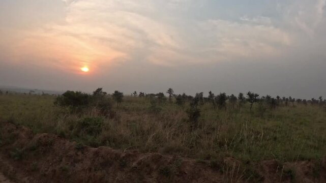 Epic sunrise safari footage in Murchison Falls National Park Uganda with dramatic dawn sky and immersive African landscape