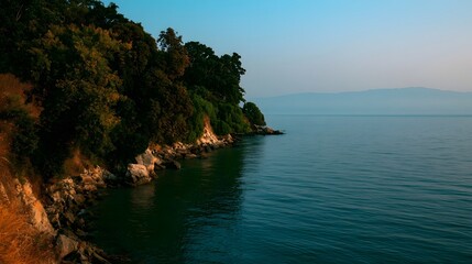 Fototapeta premium A scenic coastal landscape featuring a dense line of trees and a vast expanse of blue water during the golden hour