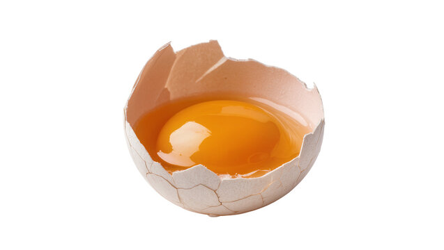 Isolated fresh raw egg with vivid yellow yolk inside a cracked shell, ready for cooking