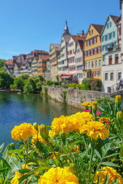 Beautiful scenic view of colorful houses at the Neckarfront with blooming flowers in Tuebingen, Germany⁠
