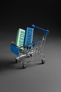 Shopping cart with needs and wants blocks symbolizing balanced budgeting choices