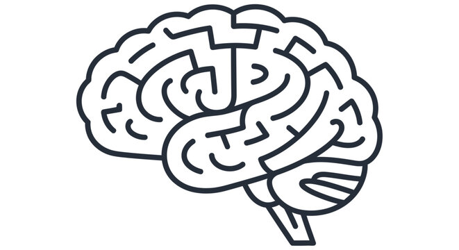 Line drawing depicts a human brain with detailed cortical convolutions