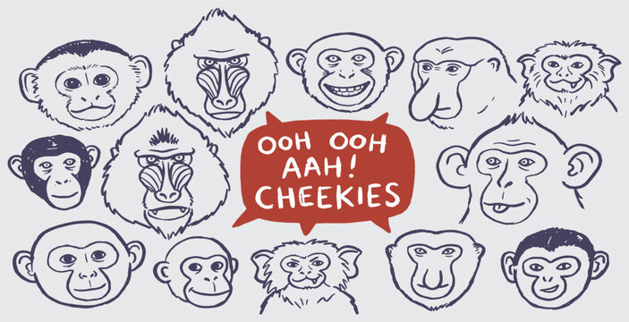 A whimsical collection of hand-drawn monkey faces with a speech bubble saying 'Ooh Ooh Aah! Cheekies'.