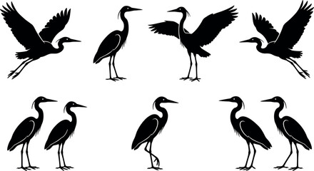 Obraz premium Heron and Egret Black Silhouette Collection with Flying and Standing Waterfowl Stork Bird Vectors for Nature and Wildlife Conservation Graphic DesignsHeron and Egret Black Silhouette Collection with F