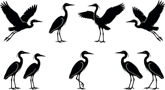 Heron and Egret Black Silhouette Collection with Flying and Standing Waterfowl Stork Bird Vectors for Nature and Wildlife Conservation Graphic DesignsHeron and Egret Black Silhouette Collection with F