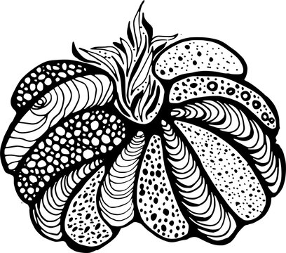 Unusual textured heirloom pumpkin squash vegetable abstract dots pattern vector sketch