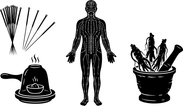 Traditional chinese medicine elements featuring acupuncture needles, moxibustion device, ginseng root in a mortar and a human meridian chart