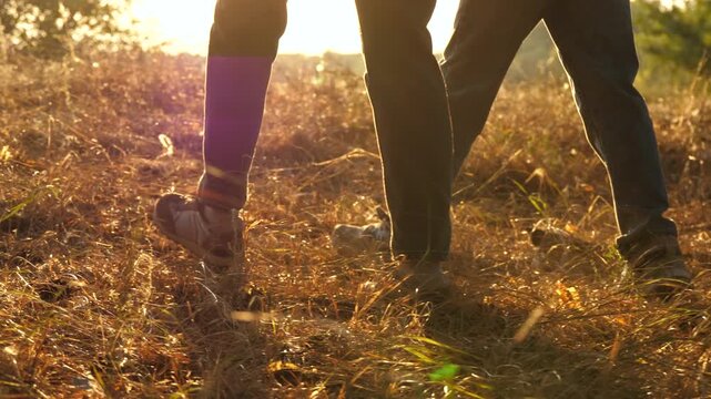 Close-up of mother and child walking together through golden forest at sunset, steps on grass in warm light. Care, guidance and safe childhood. Emotional connection. Peaceful outdoor lifestyle. Family