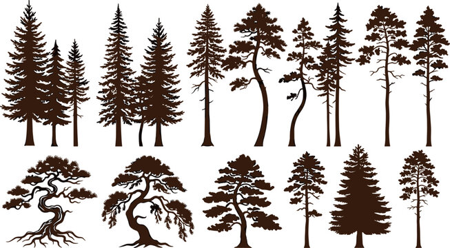 Pine and Fir Tree Silhouettes Set with Conifer Forest Elements and Evergreen Bonsai Graphics Vector Collection for Nature and Landscape DesignsPine and Fir Tree Silhouettes Set with Conifer Forest Ele