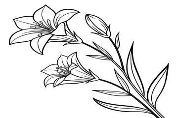 Fototapeta premium coloring page line art the peach blossom flower black vector