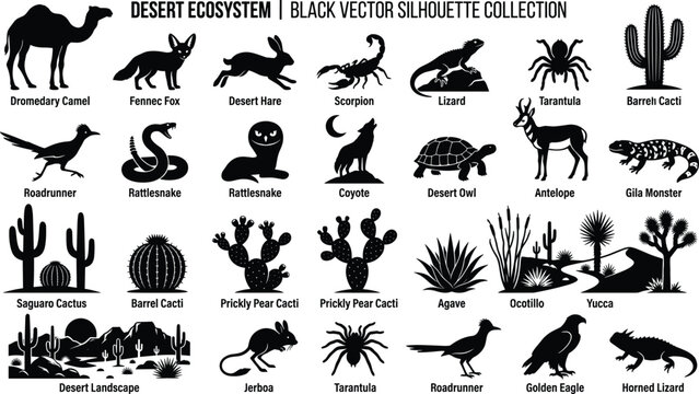 Desert ecosystem silhouette vector collection with animals, reptiles, birds, and cactus plants for nature and wildlife design projects