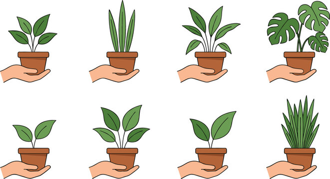 Vector set of human hands holding various potted houseplants including monstera and snake plant, isolated on white background, perfect for gardening and urban jungle designs.