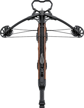 Modern hunting compound crossbow isolated on transparent background