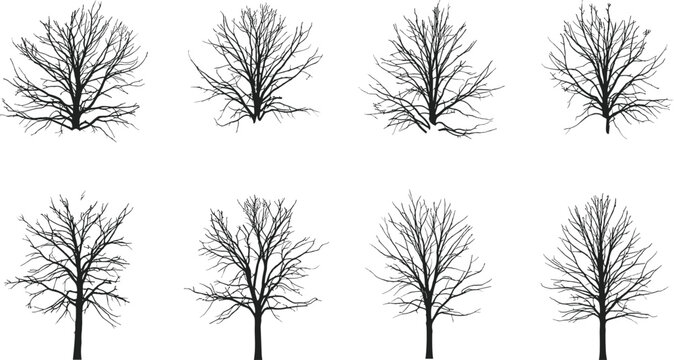 Silhouette illustration of eight diverse leafless trees with unique branching structures and natural trunk variations on white background