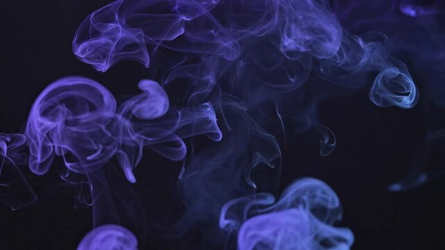 Rising purple-blue smoke plumes responding to frame progression, forming curls at dark backdrop