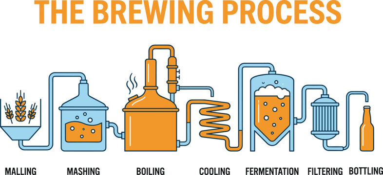 Beer brewing process vector illustration showing malting, mashing, boiling, cooling, fermentation, filtering, and bottling in modern infographic design