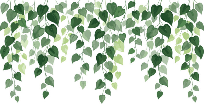 Green vine foliage vector illustration featuring cascading heart‑shaped leaves in various shades of green for natural botanical decoration