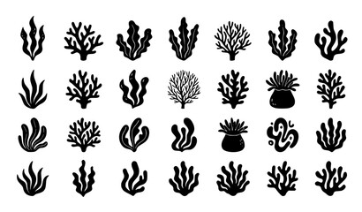 Seaweed Coral Silhouette Icons Marine Organic Abstract Vector Set © Shameem
