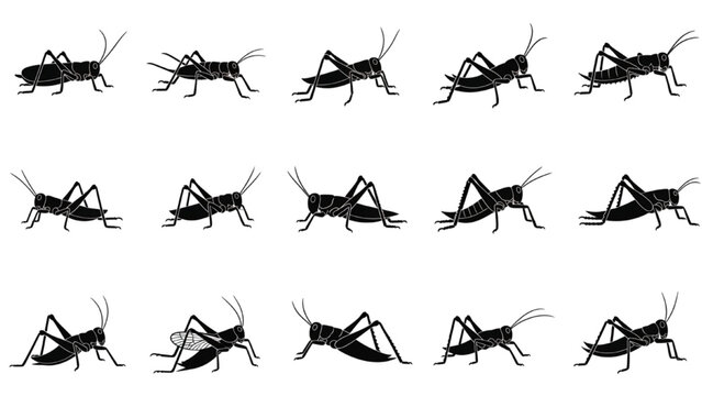 Grasshoppers and Crickets Orthoptera Silhouette Vector Icon Sheet, Minimalist Black Jumping Insect Graphic Elements Isolated on White