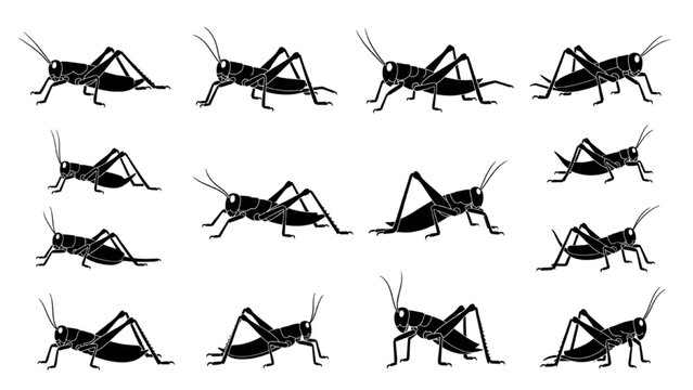 Grasshoppers and Crickets Orthoptera Silhouette Vector Icon Sheet, Minimalist Black Jumping Insect Graphic Elements Isolated on White