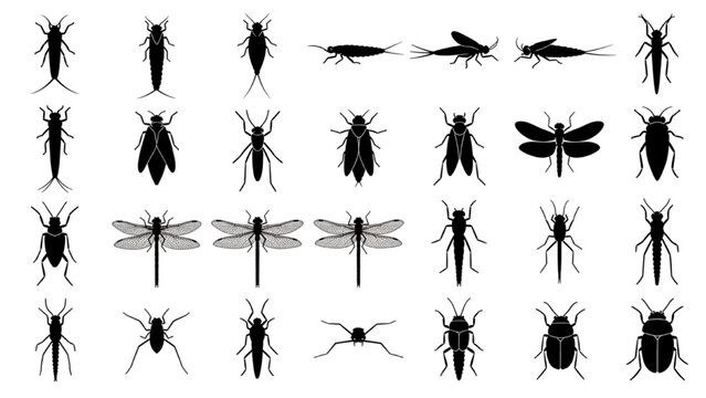 Aquatic Insects Larvae and Adults Silhouette Vector Icon Sheet, Minimalist Black Water Bug Graphic Elements Isolated on White
