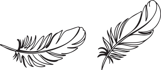 Black feather illustration © NasimaAktar
