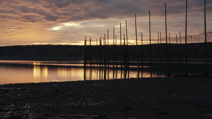 Fototapeta premium Bay of Fundy Traditional Fish Weir Silhouette at Sunset, New Brunswick, Canada - Wooden Poles and Nets Reflected in Calm Tidal Waters