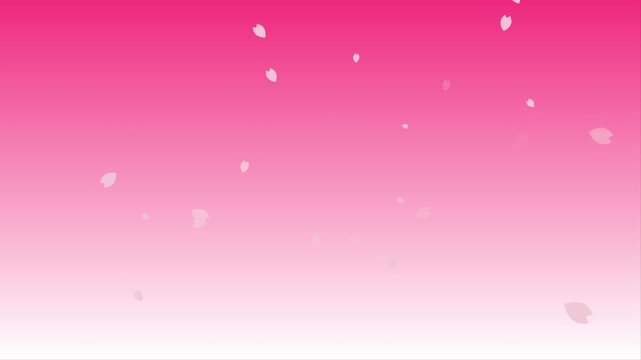 ピンクグラデーションの桜アニメーション素材　4K　ループ可能