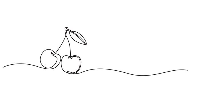 Cherry single line animated illustration. One continuous self drawing line animation, footage of cherry, Self drawing line animation Fresh Cherry fruit continuous one single line drawn concept video.