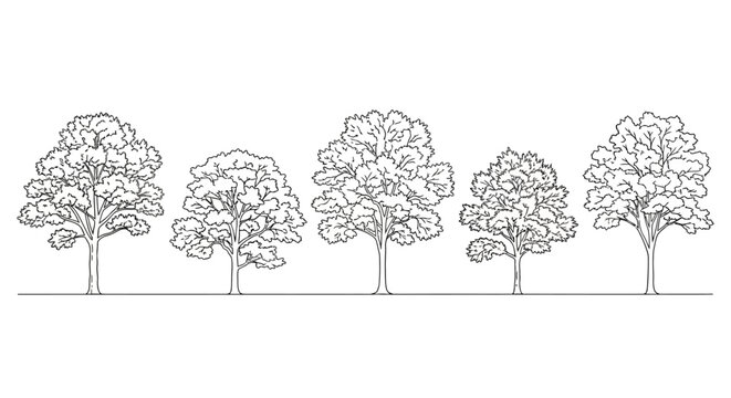 line art illustration of five deciduous trees with full canopies on a white background