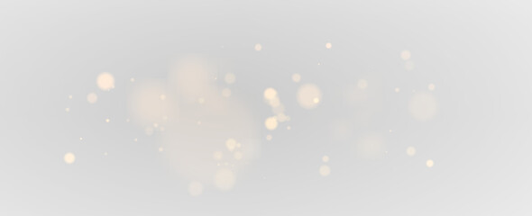 PNG bokeh overlay  © shoab