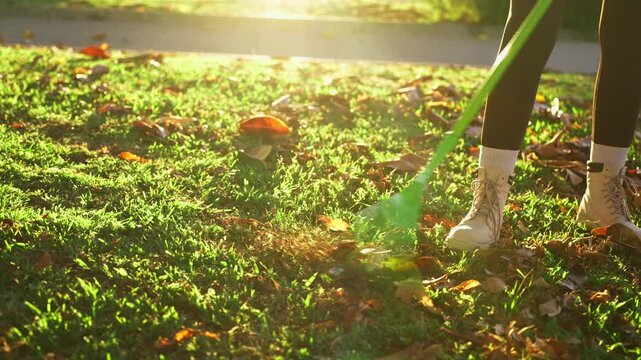 Close-up of legs and green rake cleaning dry autumn leaves from grassy park, showcasing seasonal maintenance, landscaping, and outdoor fall cleanup on sunny day.