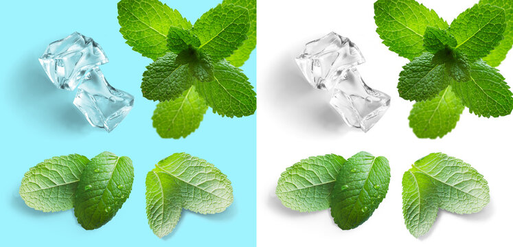 Art Clear ice cubes with fresh green mint sprig with neutral transparent shadow for design element on any color background , isolated on transparent background
