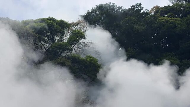 Thick geothermal steam rises from the hot spring at Umi Jigoku. Heavy volcanic vapor covers the lush green hillside in Beppu. Hot mist billows continuously over the tropical trees.
