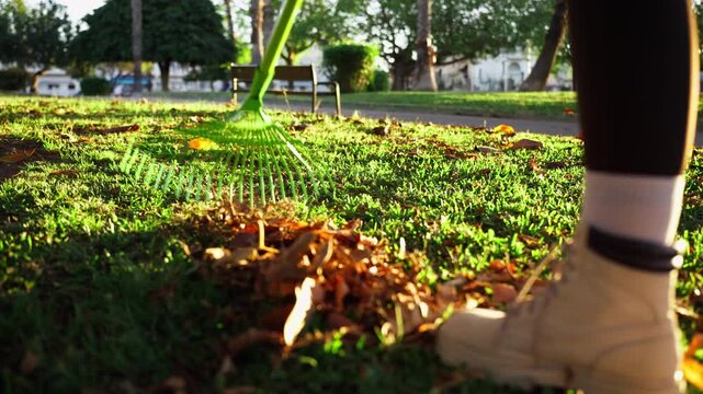 Woman cleaning fallen autumn leaves in city park, supporting urban cleanliness, environmental care, and sustainable public space maintenance.
