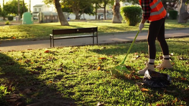 Female municipal park worker in orange safety vest raking leaves in public park, maintaining urban green spaces and supporting city cleanliness and environmental care.