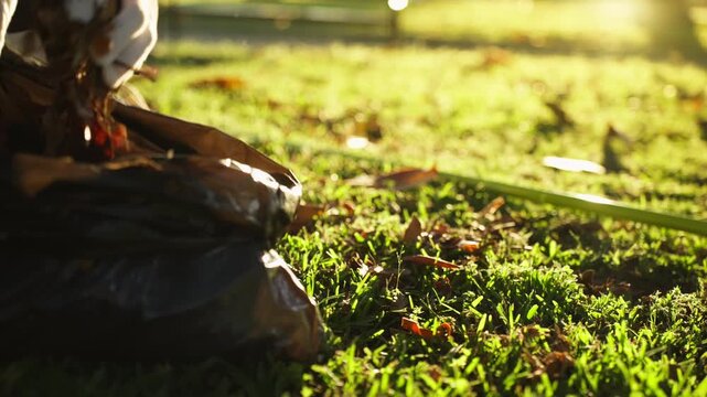 Female environmental worker cleaning fallen leaves and collecting litter in city park, promoting environmental protection and sustainable urban cleanliness.
