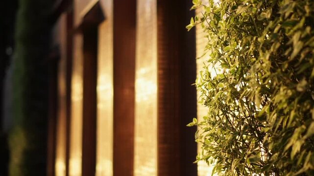 architecture facade reflected tiles in golden morning sunlight garden