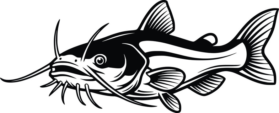 Hand Drawn Catfish Vector Illustration Black and White Vintage Fishing Design