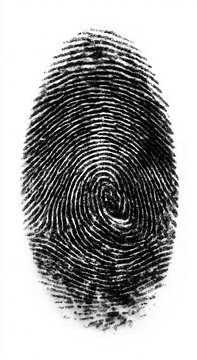 Black-and-white fingerprint swirls in oval shape