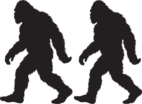 Silhouette of two bigfoot creatures walking with abominable snowman black and white silhouette sasquatch creature