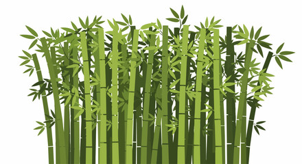 Obraz premium Bamboo Forest Grove Illustration with Green Stalks and Leaves on White Background - Stylized Nature Vector for Spa, Wellness, and Eco-Friendly Design