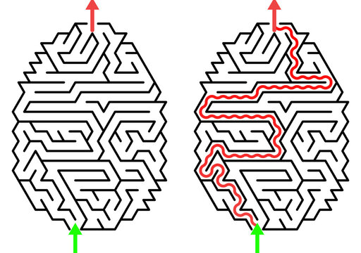 Labyrinth puzzle solution path silhouette in the shape of an egg for logical pathfinding activities